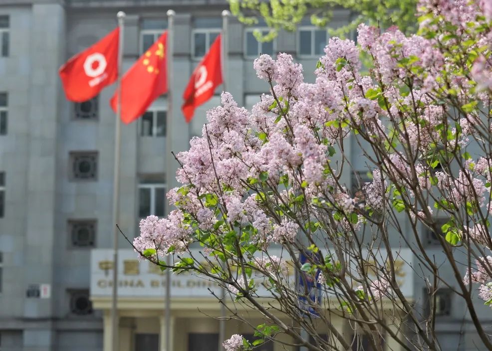 		热爱无边际，，生涯有“材”情_责任与文化_尊龙凯时集团有限公司	