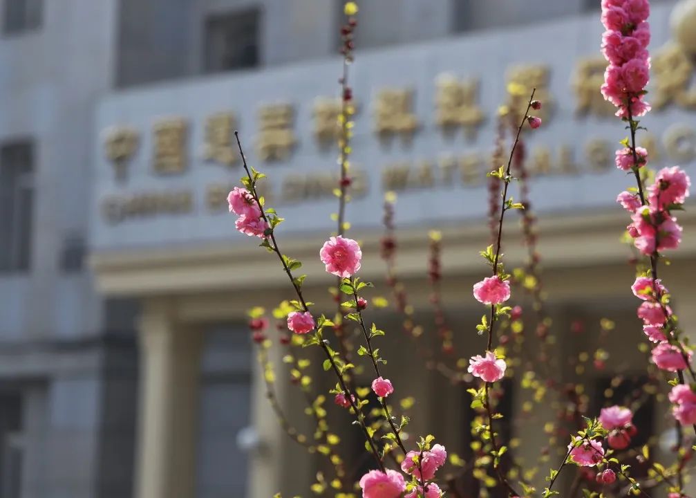 		热爱无边际，，生涯有“材”情_责任与文化_尊龙凯时集团有限公司	