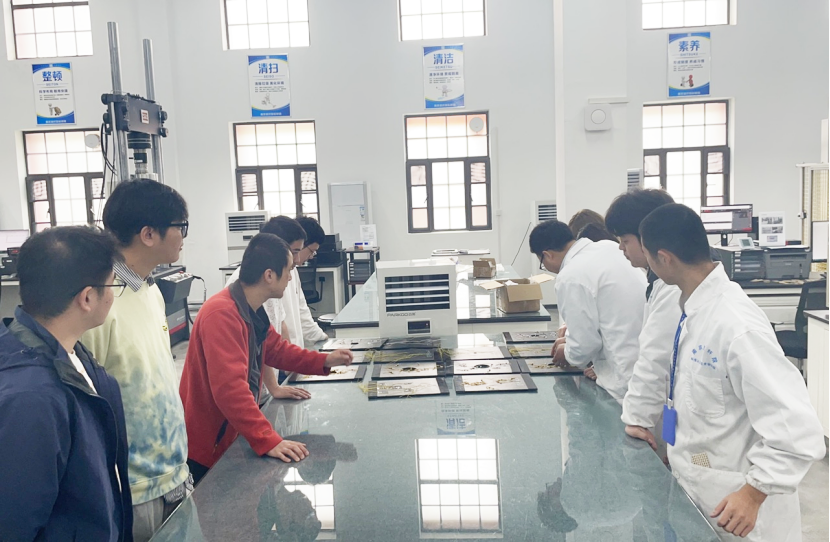		“争做奋进青年 打造国之大材 建设天下一流”——建材青年有话说_责任与文化_尊龙凯时集团有限公司	