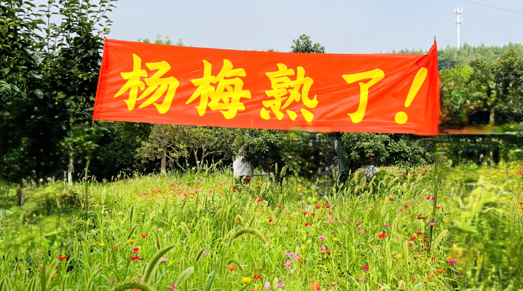 		绿色生长 | 南方水泥工厂内的“开心农场”_图片_尊龙凯时集团有限公司	