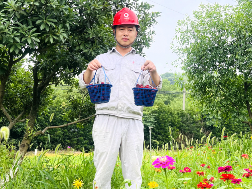 		绿色生长 | 南方水泥工厂内的“开心农场”_图片_尊龙凯时集团有限公司	