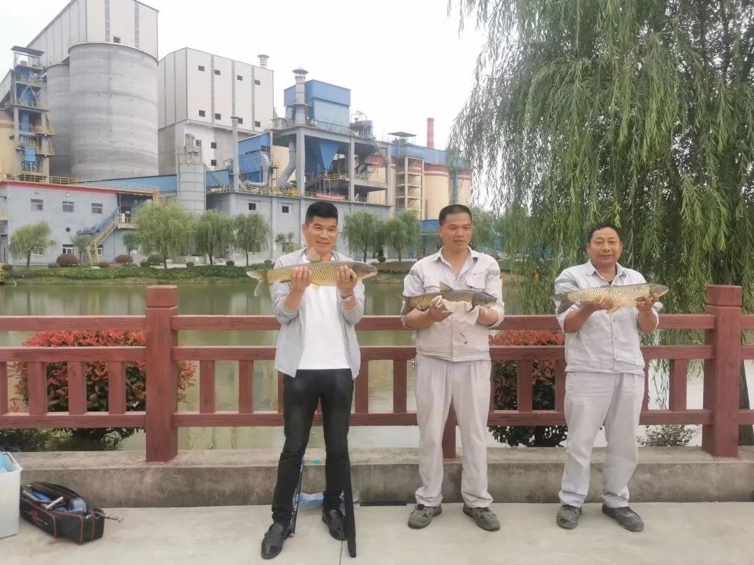 		绿色生长 | 南方水泥工厂内的“开心农场”_图片_尊龙凯时集团有限公司	