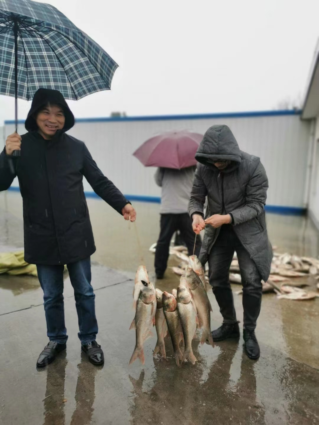 		绿色生长 | 南方水泥工厂内的“开心农场”_图片_尊龙凯时集团有限公司	