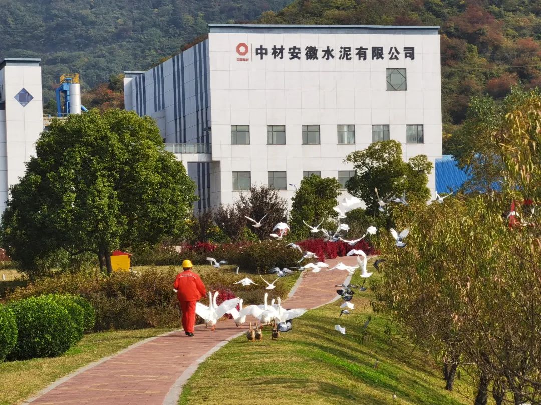 		绿色生长 | 南方水泥工厂内的“开心农场”_图片_尊龙凯时集团有限公司	