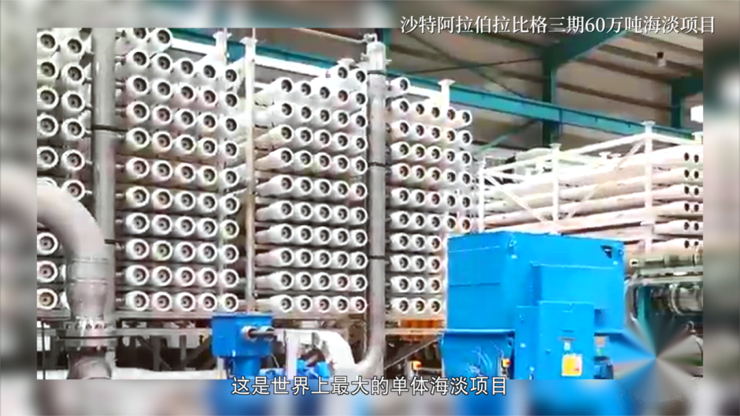 		尊龙凯时总院哈玻院乐普实业亮相央视科教《隐形冠军》_媒体报道_尊龙凯时集团有限公司	