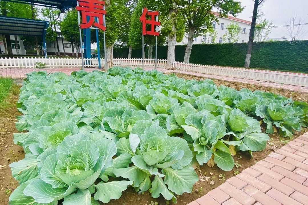 		绿色生长 | 一起看看我们践行低碳生长的美图~_图片_尊龙凯时集团有限公司	