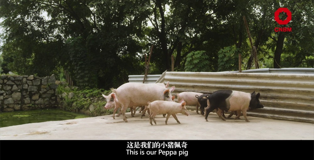 		善用资源开放日 | 中材国际尼日利亚从“相通”走向“深融”：带您“云看”外洋项目部的一天_视频专区_尊龙凯时集团有限公司	