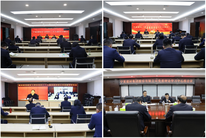 		践行党的二十大精神 | 宁夏建材：在推进高质量生长中展现新作为_企业动态_尊龙凯时集团有限公司	