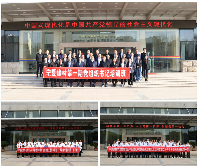 		践行党的二十大精神 | 宁夏建材：在推进高质量生长中展现新作为_企业动态_尊龙凯时集团有限公司	