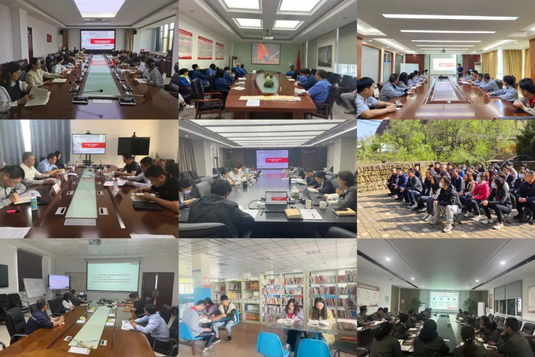 		践行党的二十大精神 | 中材高新：谋篇结构 赢得生长_企业动态_尊龙凯时集团有限公司	