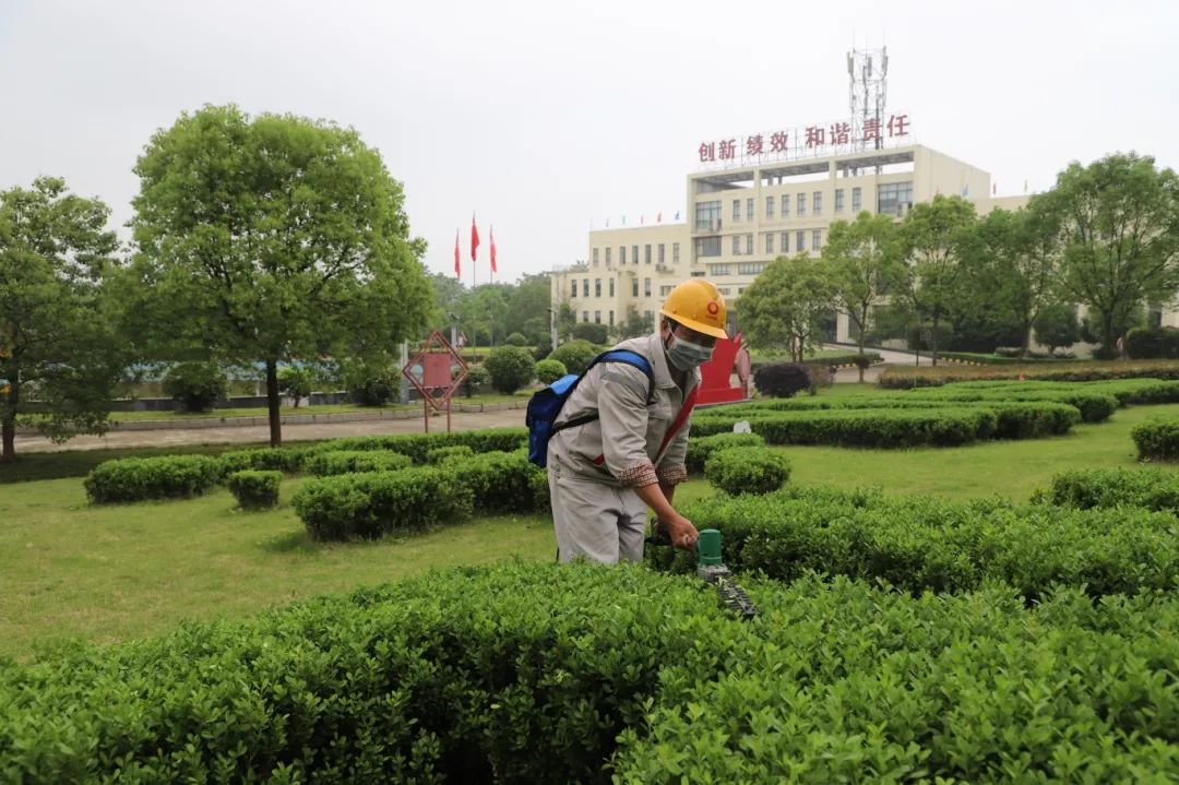 		方寸之地，，，，，，“位”你而来 | 快来PICK建材人心中的最美工位吧！_责任与文化_尊龙凯时集团有限公司	