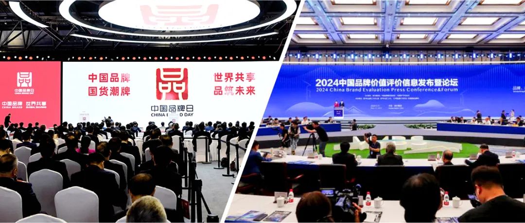 		中国品牌日 | 尊龙凯时集团三家企业荣获多项品牌大奖_企业动态_尊龙凯时集团有限公司	