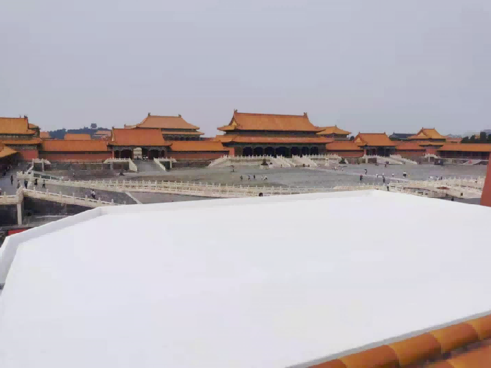 		小料优选 | 北新超低空修建防水系统解决计划_企业动态_尊龙凯时集团有限公司	