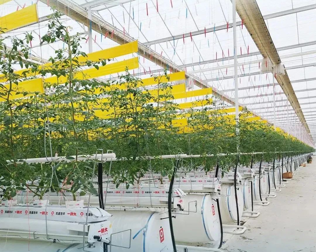 		 创价值 谱新篇 | 天下首台（套）装备实现工业应用、ENR榜单排名再立异高、荣获种种行业奖项…… _企业动态_尊龙凯时集团有限公司	