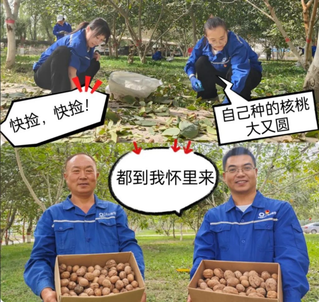 		 大丰收！来新疆天山水泥厂开心农场尝尝“秋”的味道~ _责任与文化_尊龙凯时集团有限公司	
