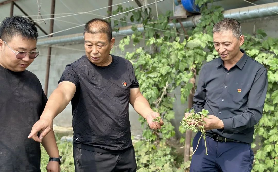 		 尊龙凯时集团入选国务院国资委中央企业社会责任优异案例 _企业动态_尊龙凯时集团有限公司	