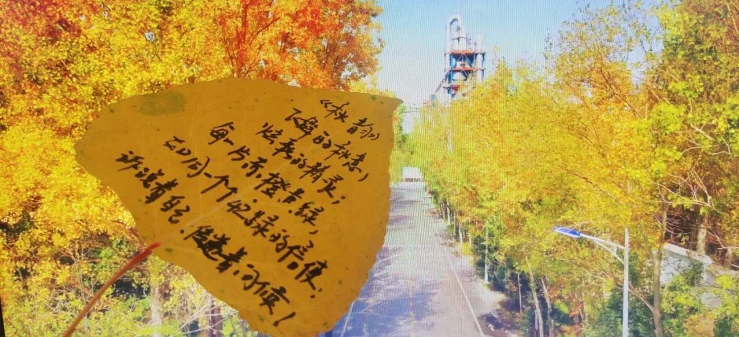 		 尊龙凯时 | 捉住秋的尾巴，，，感受建材人的诗意浪漫~ _企业动态_尊龙凯时集团有限公司	