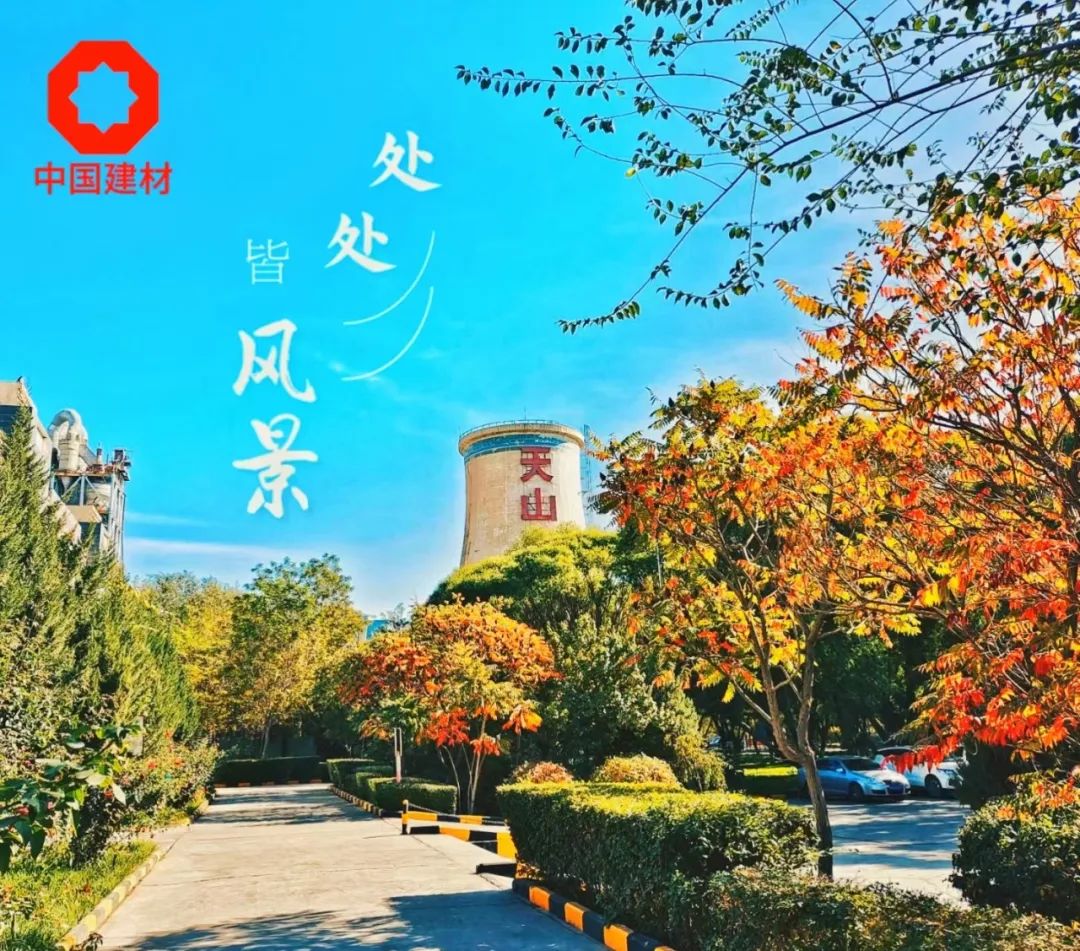 		 尊龙凯时 | 捉住秋的尾巴，，，感受建材人的诗意浪漫~ _企业动态_尊龙凯时集团有限公司	