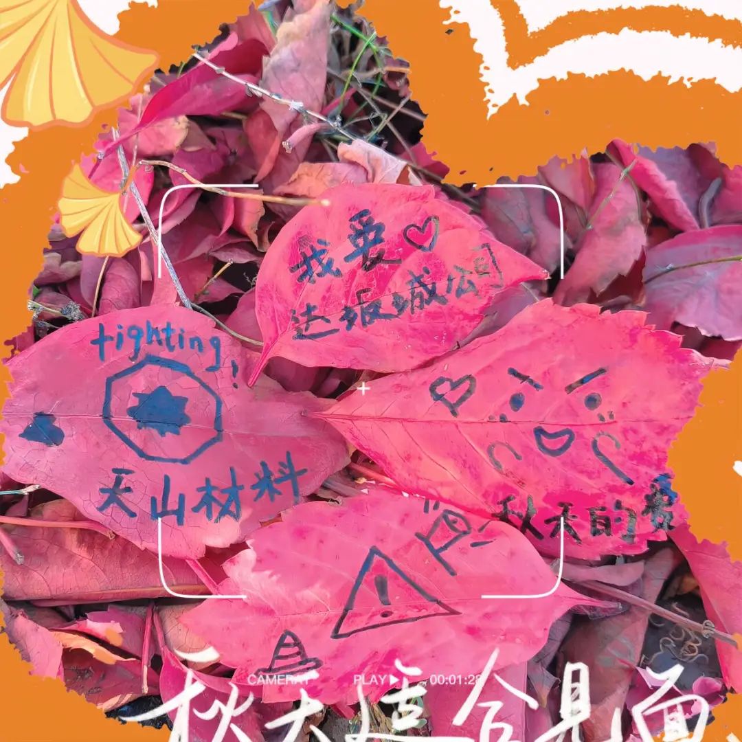 		 尊龙凯时 | 捉住秋的尾巴，，，感受建材人的诗意浪漫~ _企业动态_尊龙凯时集团有限公司	