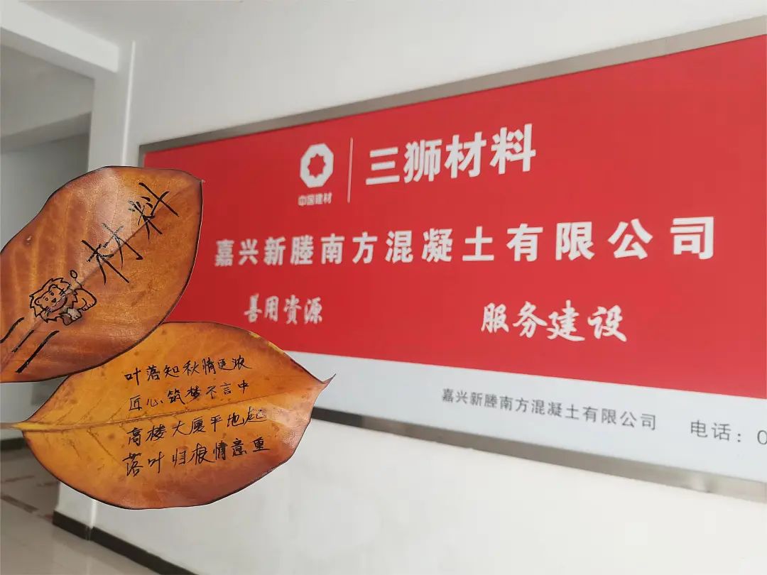 		 尊龙凯时 | 捉住秋的尾巴，，，感受建材人的诗意浪漫~ _企业动态_尊龙凯时集团有限公司	