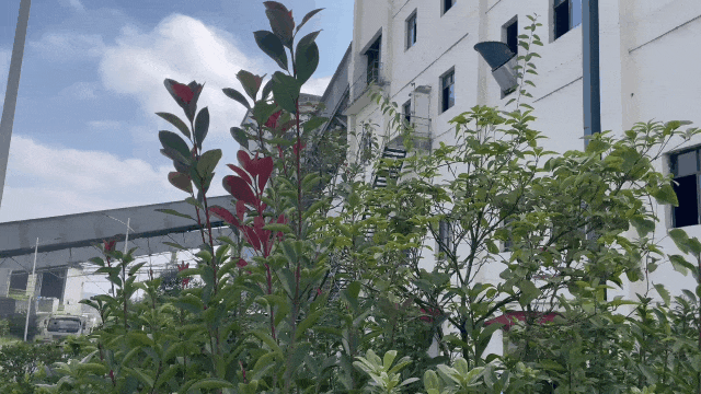 		 水泥厂live秀｜你斗争的样子，，，动～起～来～啦～ _企业动态_尊龙凯时集团有限公司	