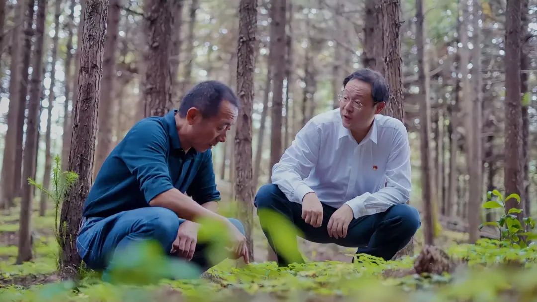  村里来了北京人——记石台县丁香镇梓桐村党支部第一书记、驻村事情队队长李振杰 _事情动态_尊龙凯时集团有限公司