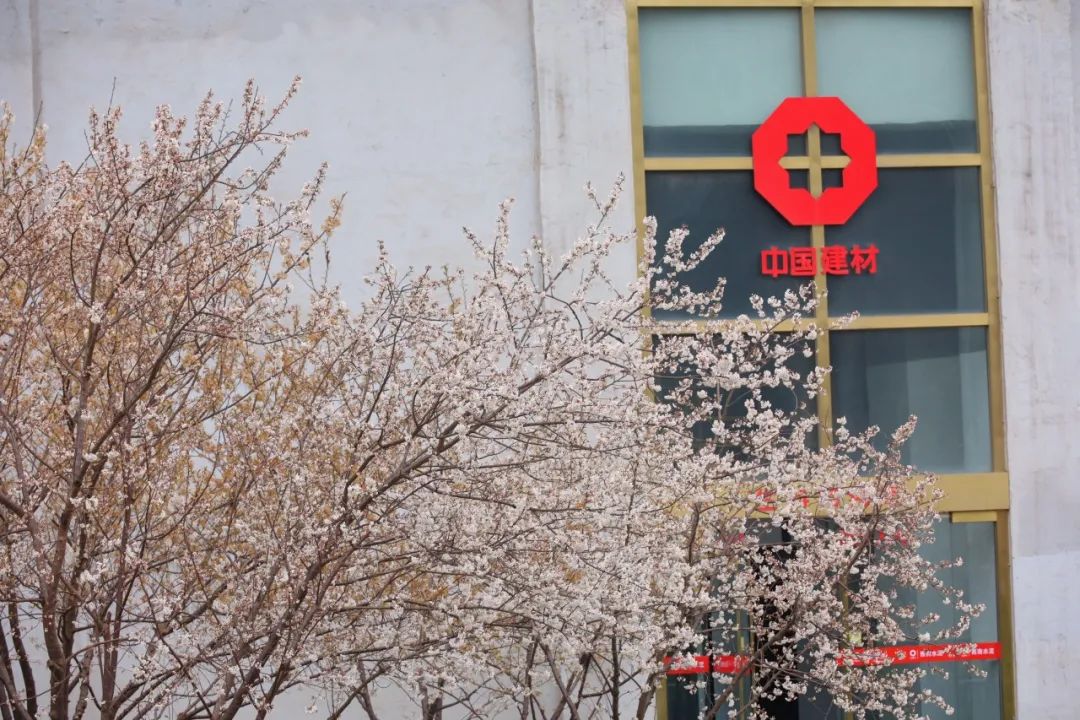 		清明·踏青 | 粉了！中建材的工业美学遇上春日浪漫~_责任与文化_尊龙凯时集团有限公司	